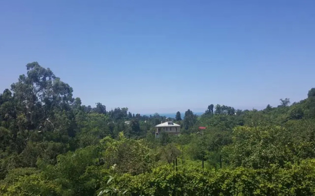 Bambarbia Guesthouse