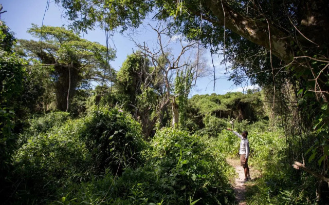 Royal Thonga Safari Lodge