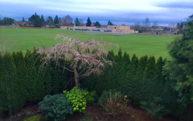 Vancouver Luxury Homestay