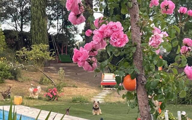 Bel Hôtel Restaurant La Gentilhommiere