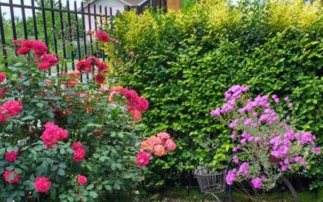 Casa Roble Añejo Bed & Breakfast