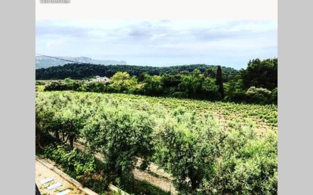 Studio dans les vignes de cassis