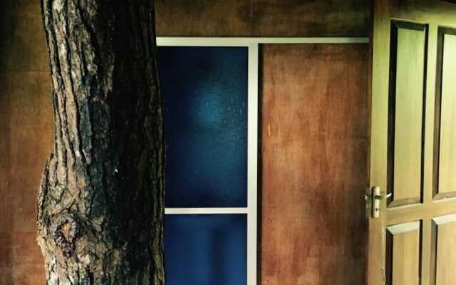 The Tree House
