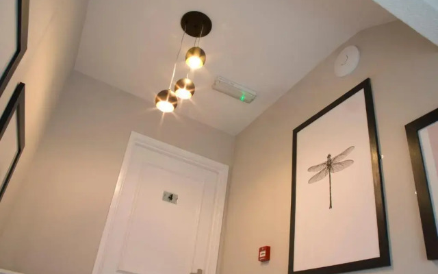 Blackbird Luxury Apartments Room 4