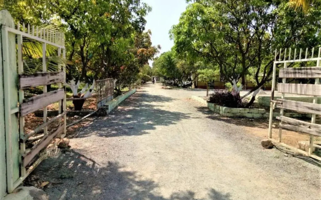 Wilderness Camp 200mtr from Devaliya Park