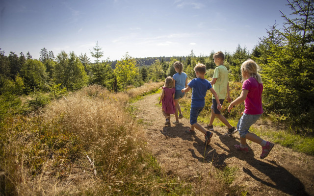 Mountain View Hotel Willingen