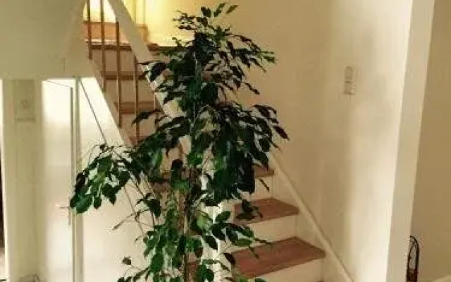 Apartment STADLAND (SDT140)
