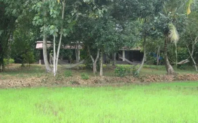 GK`s Riverview Homestay