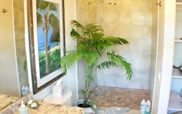 Kiana's Kauai Rentals