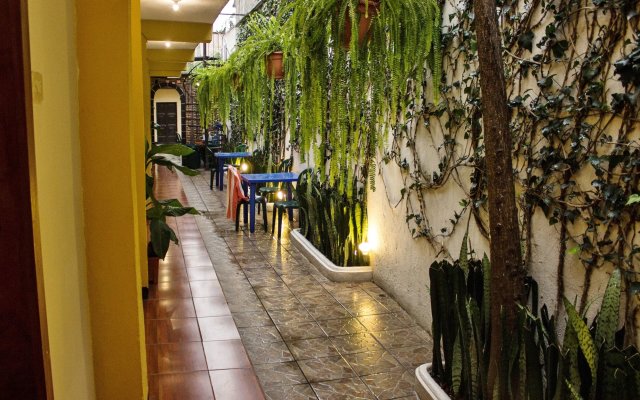 Hostal Antigua - Hostel