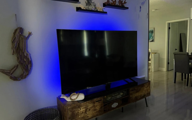 The Mermaid and the Sea Turtle