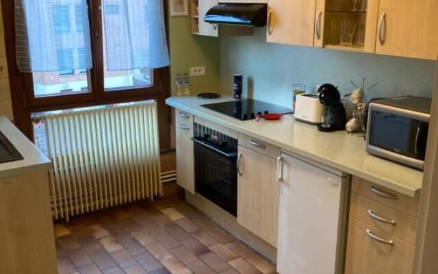 Vaste appartement douillet au cœur de la ville du cristal