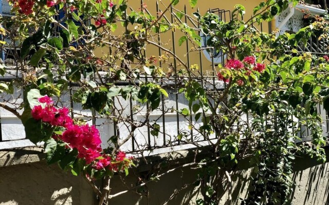 Morada e Chalet Petrópolis - Centro Histórico