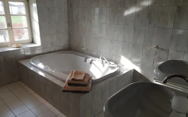 La Alqueria de las Alpacas - Alpakas am Ardey