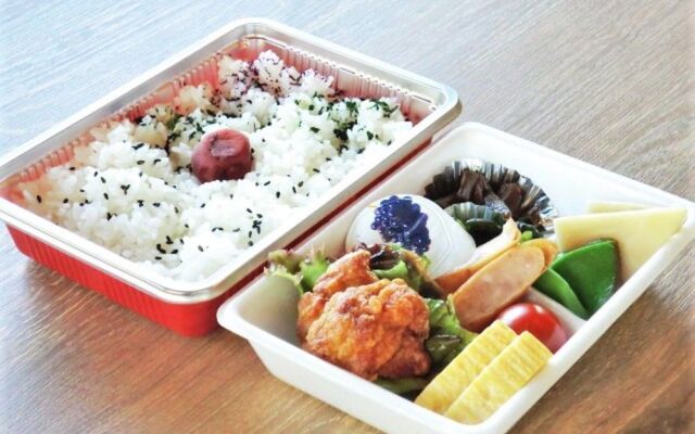 Daisen White Palace
