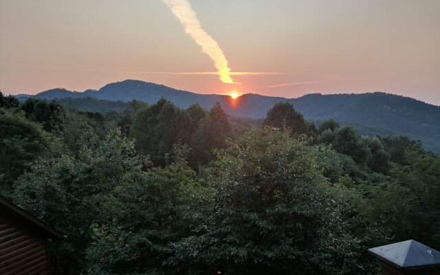 Willy Bear - 3 Br Home