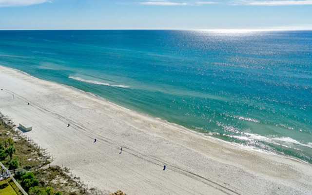 Twin Palms 1402 287431 by RedAwning