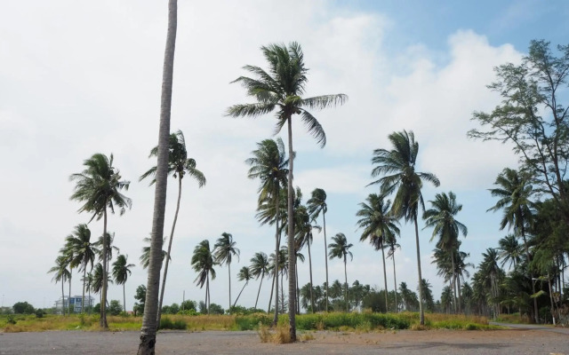 Lotus Seaview Beach Resort