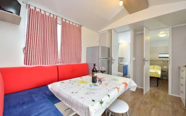 Iva - Great Garden - H