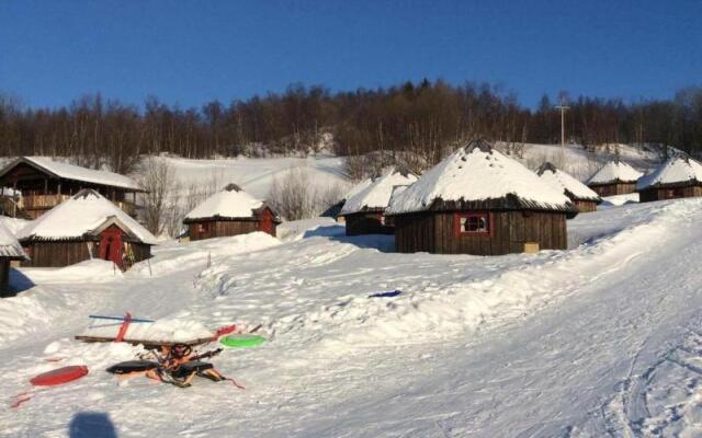 Arctic Cabins