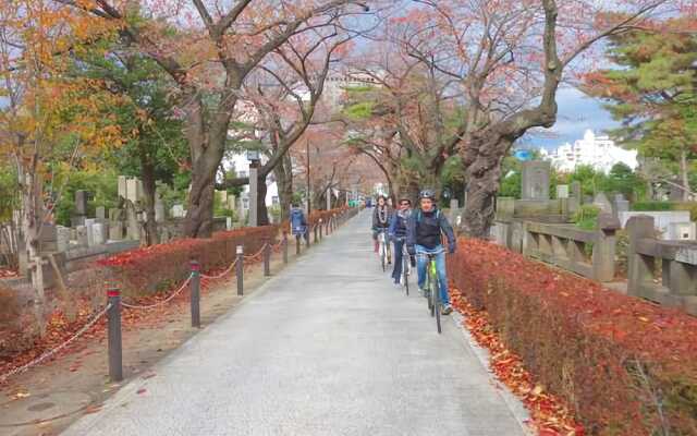 1/3rd Residence Serviced Apartments Akasaka