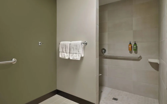 Great Wolf Lodge Webster