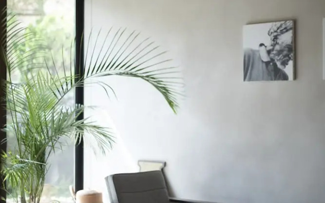 AMIGO HOUSE - Hostel
