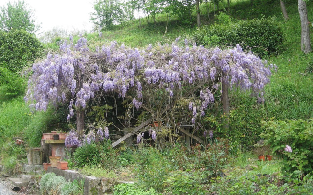 Agriturismo Cascina Tollu