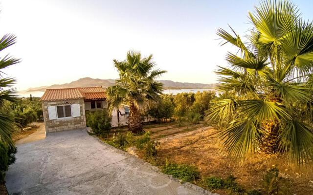 House with Unique View