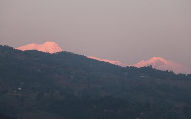 Hotel Young's Stupa