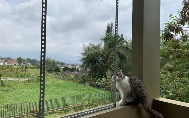 Green Homestay