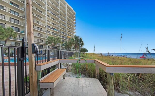 Commodore 1302 Caspian Rose