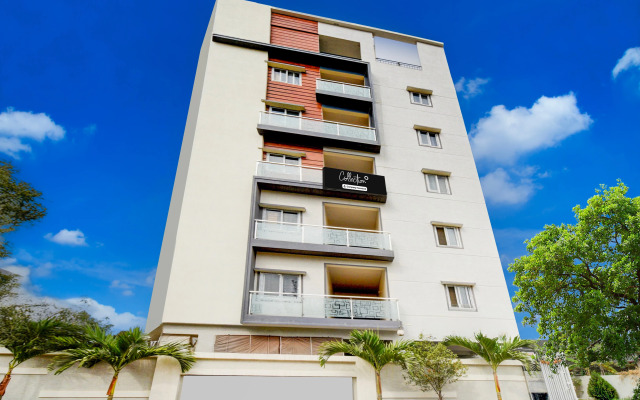 Super Collection O Madinaguda