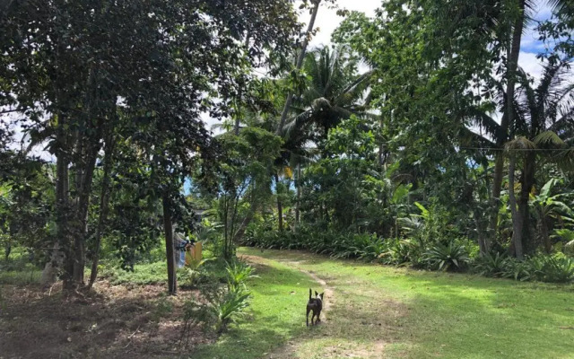 Siri Medura Surf Yoga Meditation Guesthouse And Hostel
