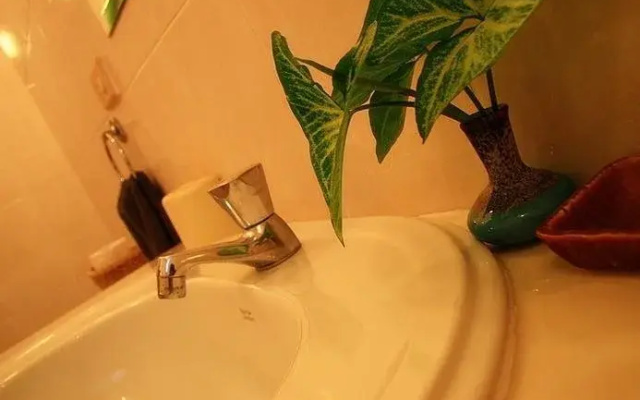 Chachanat Woodland Resort(ชัชนาถ วู๊ดแลนด์ รีสอร์ท)