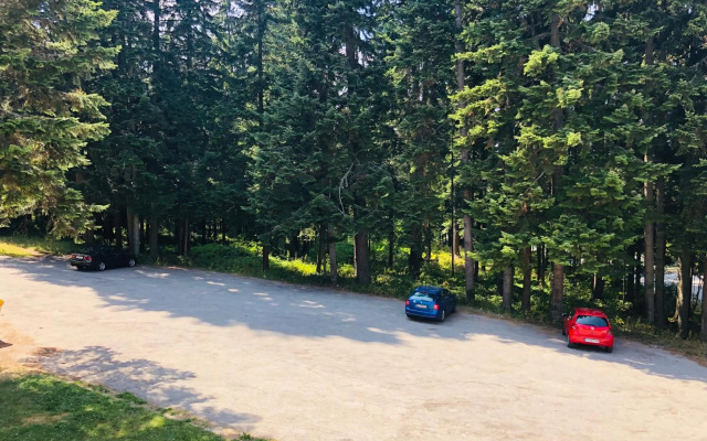 Studio Villa Park Premium