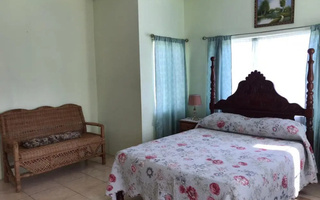 Beautiful 2-bed Apartment in Sunny Jamaica