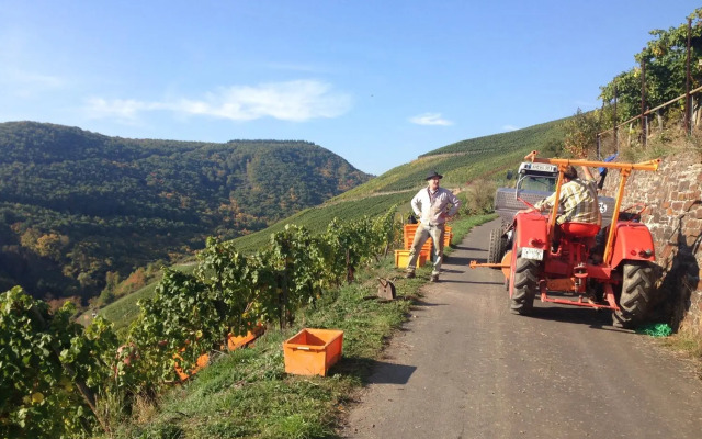 Rhine Pearl Hideaways