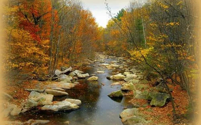 The Clarke House Bed & Breakfast