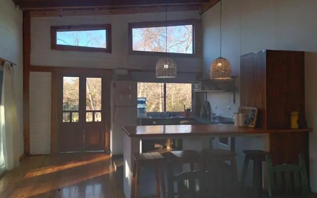 Delta tigre - фото 2