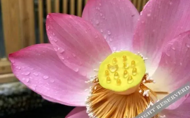 Songyang Yunshang Pingtian Boutique B&B