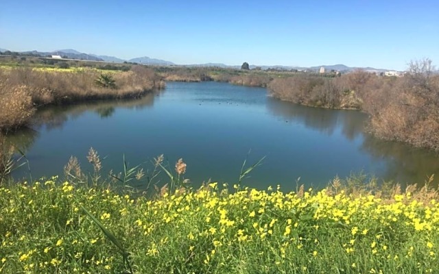 La baraka de Guadalmar B&B