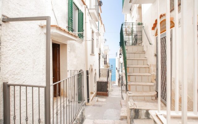 3586 Appartamento Lux by Barbarhouse