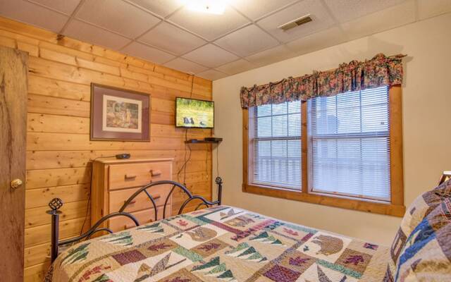 Bear Pause by Vtrips