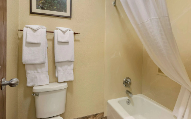 Comfort Inn Flagstaff South I-17