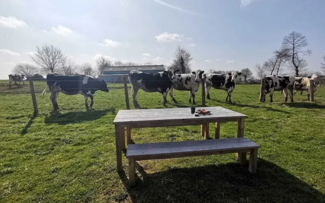 La Bastide Du Bonheur Chambres et Tables D'Hôtes
