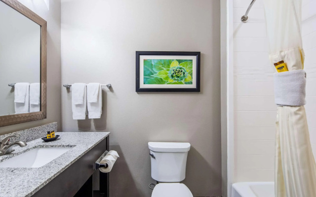 Best Western Plus Tech Medical Center Inn