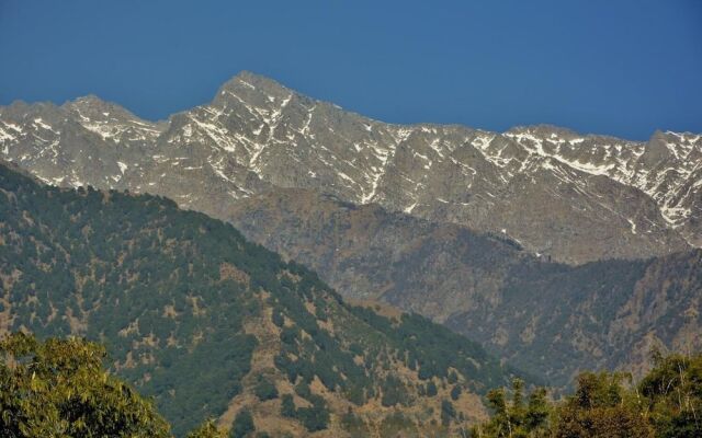 Hotel Shilpi Shavala