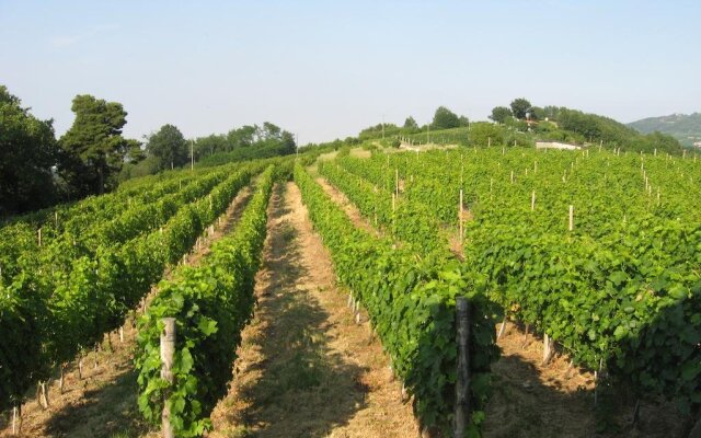 Agriturismo Cascina Serra