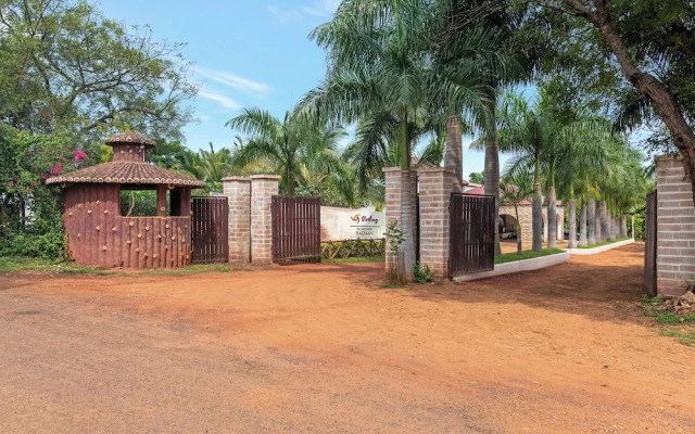 Sterling Banashree Badami